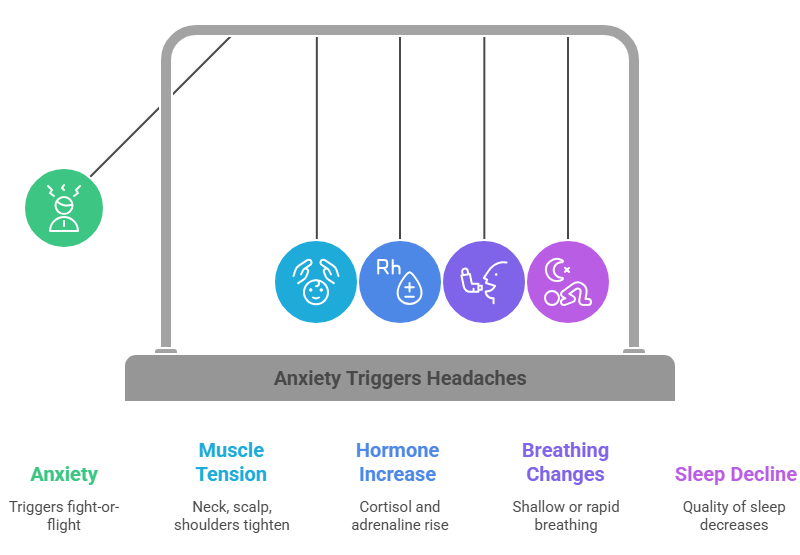 This image discusses how can anxiety cause headaches by mentioning the condition that can happen to an individual.