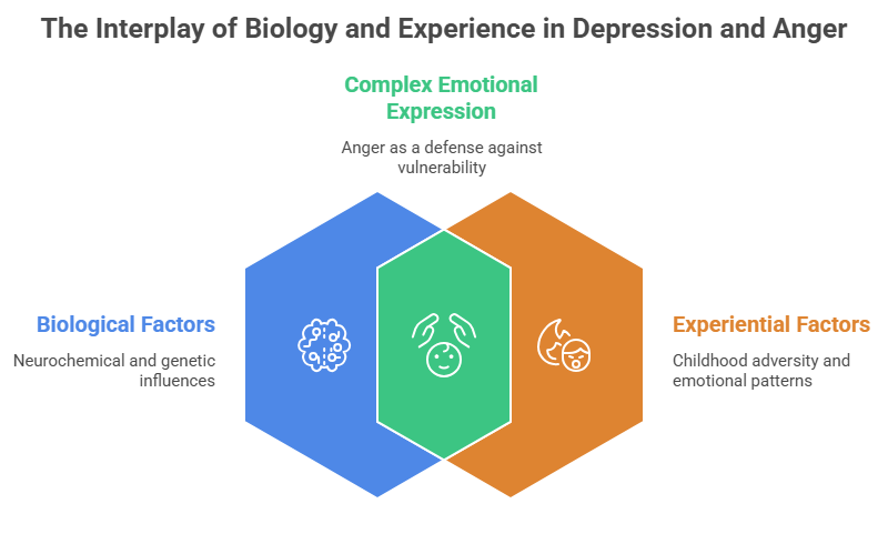This image discusses the biological and emotional factors behind the connection between depression and anger.