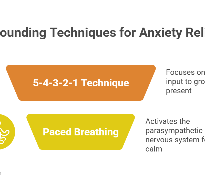An infographic titled "Grounding Techniques for Anxiety Relief" highlights two effective coping skills for anxiety. It features the "5-4-3-2-1 technique" for sensory grounding and "paced breathing" to activate the parasympathetic nervous system.